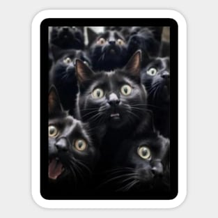 Funny : Black Cats Faces Sticker